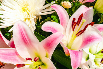 Obraz premium Close up of colorful bouquet - white chrysanthemum, purple and white lily flowers, red roses.