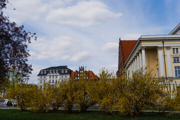 Fototapeta na wymiar Bushes and buildings on urban street in Wroclaw