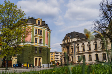 Fototapeta na wymiar Urban street and blurred flower in Wroclaw