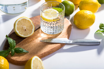 The ingredients for lemonade are on the table: lemons, lime, mint, sugar. A glass and a decanter of...