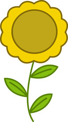 beautiful flowers in the natural garden 