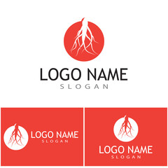 Ginseng vector icon illustration design template