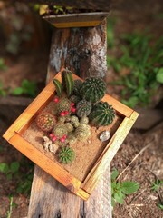 christmas tree decoration