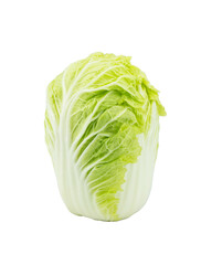 Fresh single whole of Napa cabbage (Brassica rapa), chinese cabbage arrange vertical isolated on...