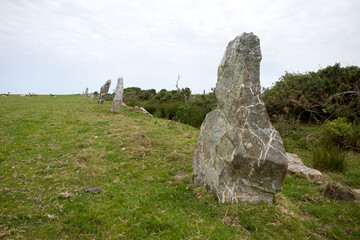 Nine Maidens stone row Cornwall all the stones are of quartz the north-eastern stone is prostrate and broken it measures 15 feet in length the tallest of those still standing is 6 feet 7 inches high 