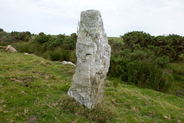 Nine Maidens stone row Cornwall all the stones are of quartz the north-eastern stone is prostrate...