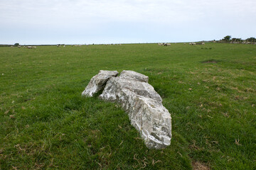 Nine Maidens stone row Cornwall all the stones are of quartz the north-eastern stone is prostrate and broken it measures 15 feet in length the tallest of those still standing is 6 feet 7 inches high 