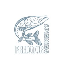 Obraz premium The figure shows a pike fish