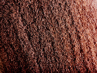 saw metal disc close-up on a white background