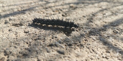 black and white sand
