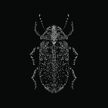 Deathwatch Beetle hand drawing vector illustration isolated on black background