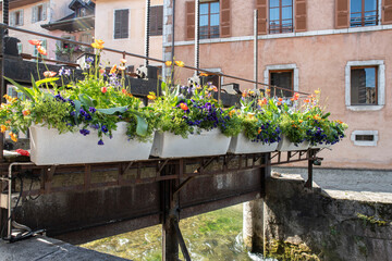 Flowers on a river in the city of Annecy in the Alps in France
