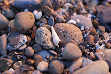 pebbles on the beach
