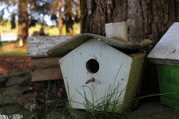 wooden bird house