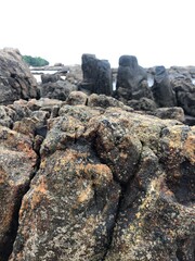rocks