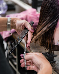 Lady haircut in beauty salon