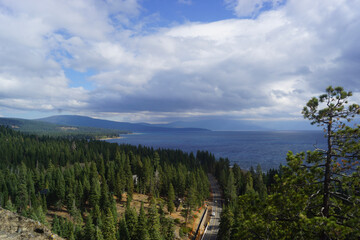 forest and sky