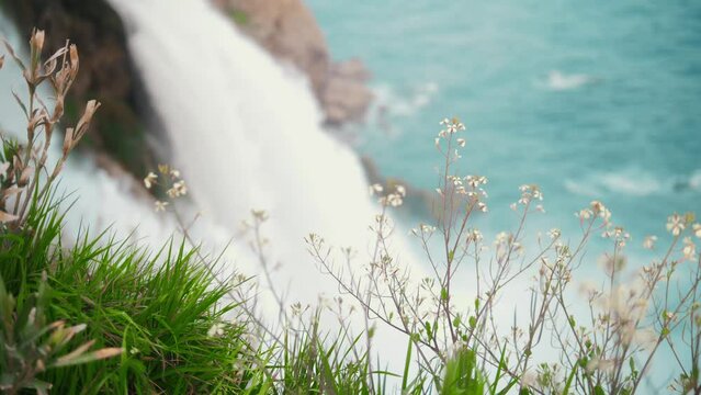 Green grass and flowers on a cliff by the waterfall