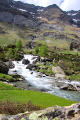 bei Pfelders in Südtirol