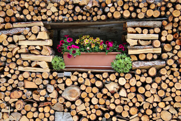Lazins in Südtirol