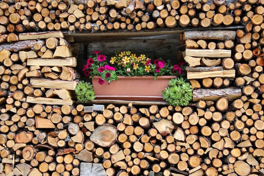 Lazins in S&uuml;dtirol