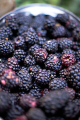 COMIDA MEXICANA COLORES INGREDIENTES TEXTURAS