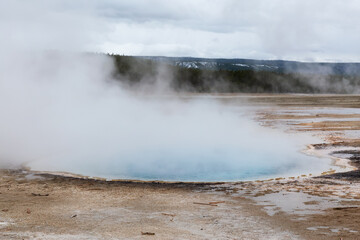 Hot spring Geyser with colorful water in American Landscape. Celestine Pool in Yellowstone National Park, Wyoming, United States. Nature Background.