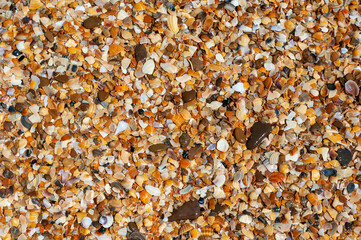Textured summer background with seashell and pebbles. the seashore is strewn with broken shells and pebbles. Vacation and vacation concept