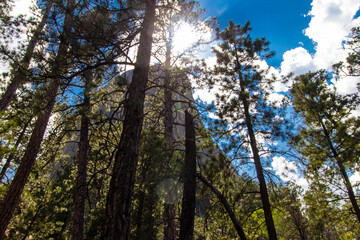 Fototapeta premium Devil's Tower National Monument, Wyoming