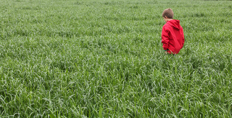 Garçon en rouge au milieu d un champ vert
