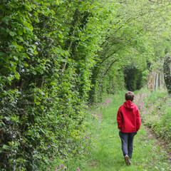 Enfant en rouge marchant au bord d une forêt au printemps 