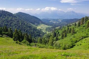 Fototapeta na wymiar Mountain summer landscape. View on the Belluno pre-alps, Italy.