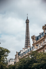 Obraz premium Paris eiffel tower from the park