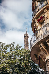 Fototapeta na wymiar Paris eiffel tower from the park