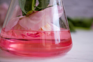 Laboratory flask flower on a light background
