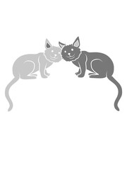 Pärchen Katzen Team Freunde 