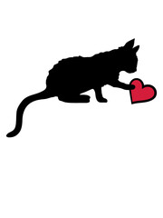 Niedliches Kätzchen berührt Herz 