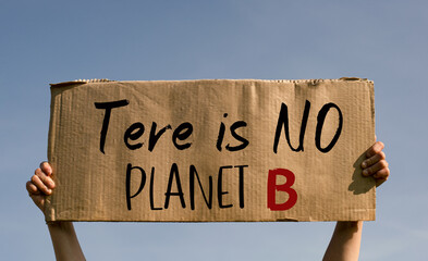 A poster with the words TERE IS NO PLANET B in the hands of a young girl against a blue sky.