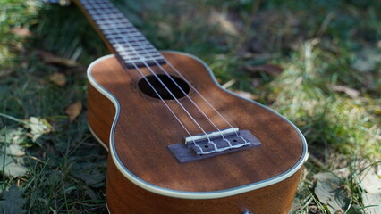 details of the Ukulele in a sunset with a green background