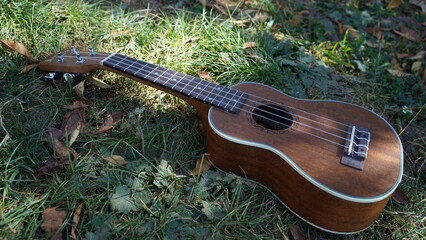 details of the Ukulele in a sunset with a green background