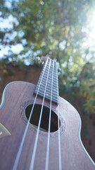 details of the Ukulele in a sunset with a green background
