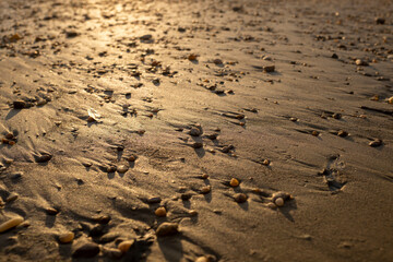 Beach sand with  pebbles at sunset