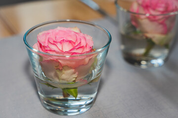 Rose im Glas, Rosenblüte, Glas, Rose, rosa