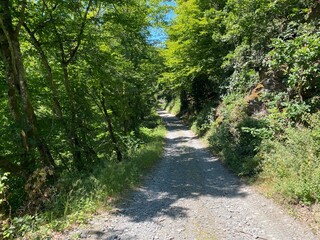 tal der wilden endert, greimersburg, endert, cochem, eifel, wanderweg, deutschlands, feldweg, landwirtschaftlicher verkehr, frühling, sommer, wald, natur, ins grüne, traktor, wald, wiese, weide, natur