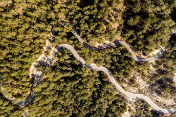 An overhead view of a winding road through a pine forest.