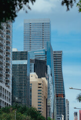 Fototapeta na wymiar skyscrapers in downtown city Brickell miami 