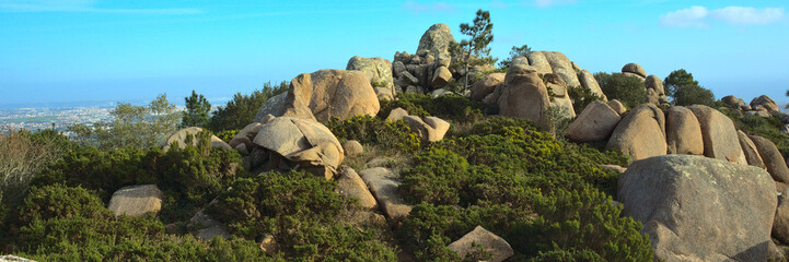 Granite boulders and pine trees in the mountains in Sintra, Portugal - obrazy, fototapety, plakaty