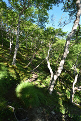 Mountain climbing in summer season