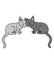 2 liebe süße Katzen 