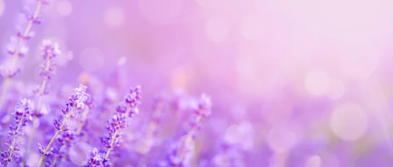 Rolgordijnen Purple abstract background, lavender field with bokeh circles. © liptakrobi